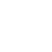 Vision
