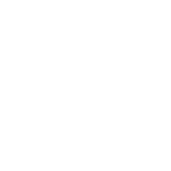 Legal and Technical Due Diligence